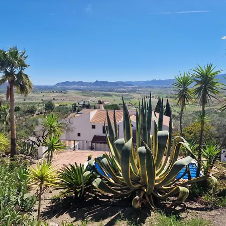 Flamenco Adults Only