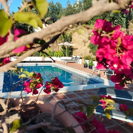 Oda ve Kahvaltı Flamenco Adults Only *