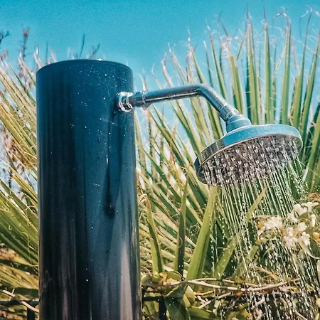 Flamenco Adults Only