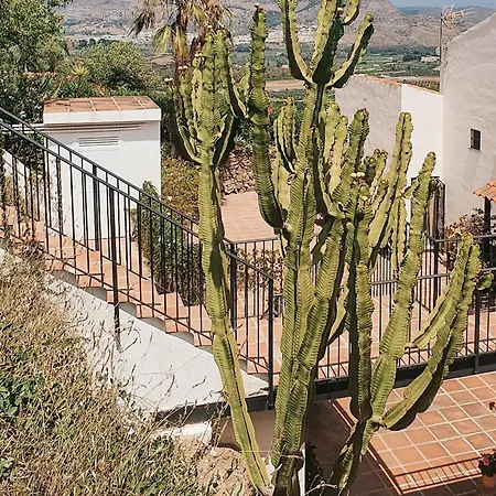 Flamenco Adults Only