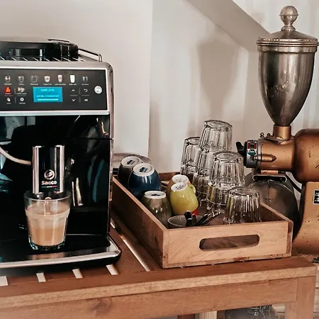 Flamenco Adults Only Pizarra