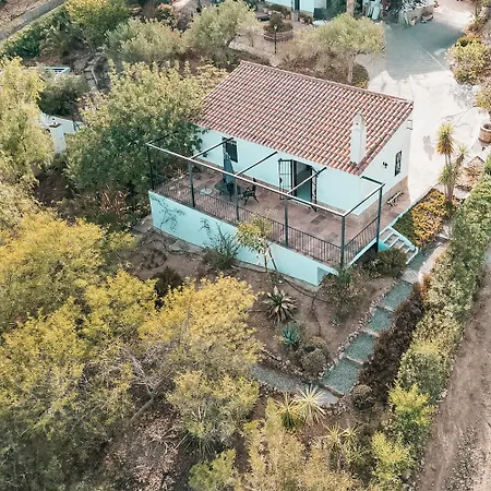 Flamenco Adults Only